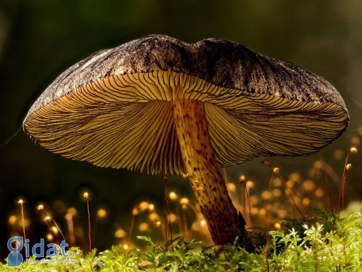 photo_2025-12-01_08-22-06 (3)